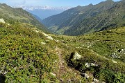 31 Sent. 201-variante vecchia (imbocco superiore)
